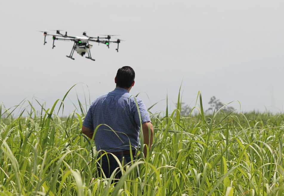 Фото дрона в поле