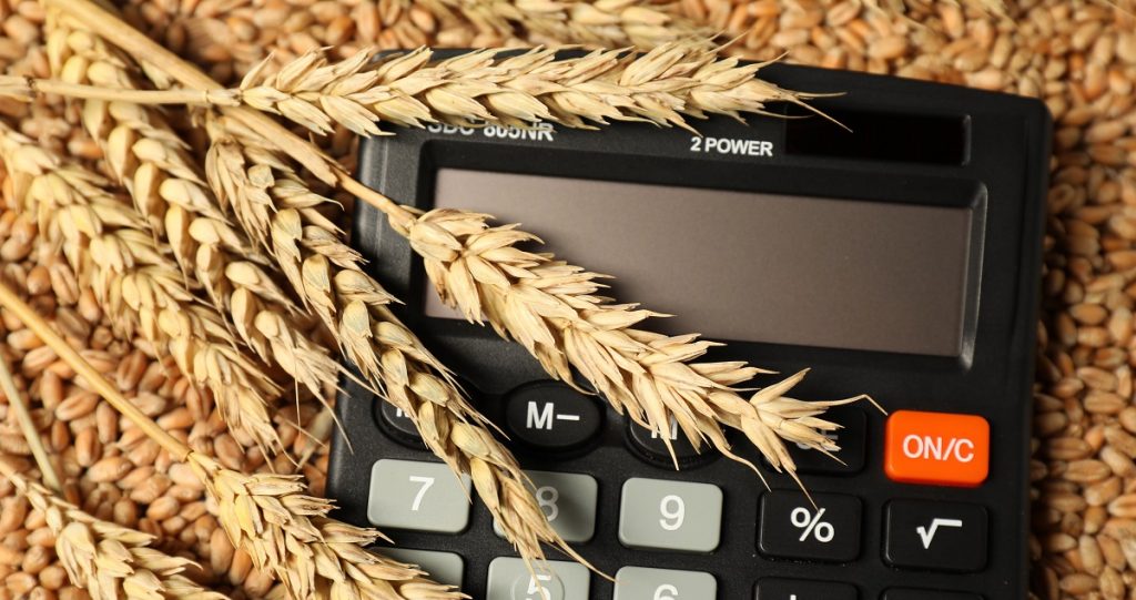 Фото пшеницы и калькулятора
